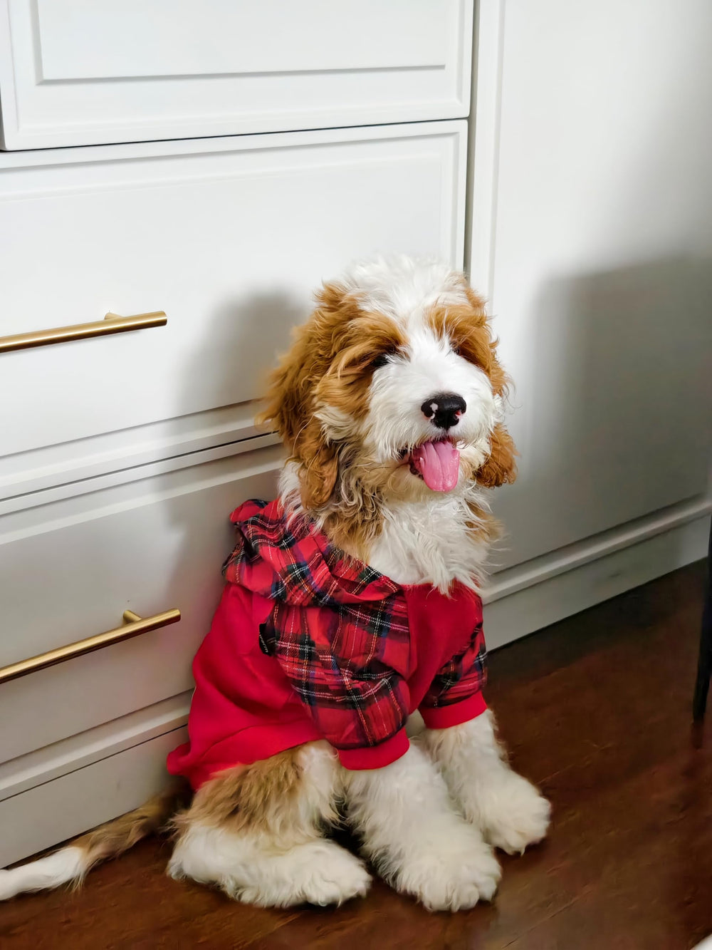 Fitwarm tartan plaid dog hoodie hood detail showcases stylish coverage