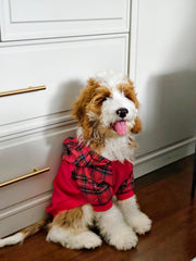 Fitwarm tartan plaid dog hoodie hood detail showcases stylish coverage