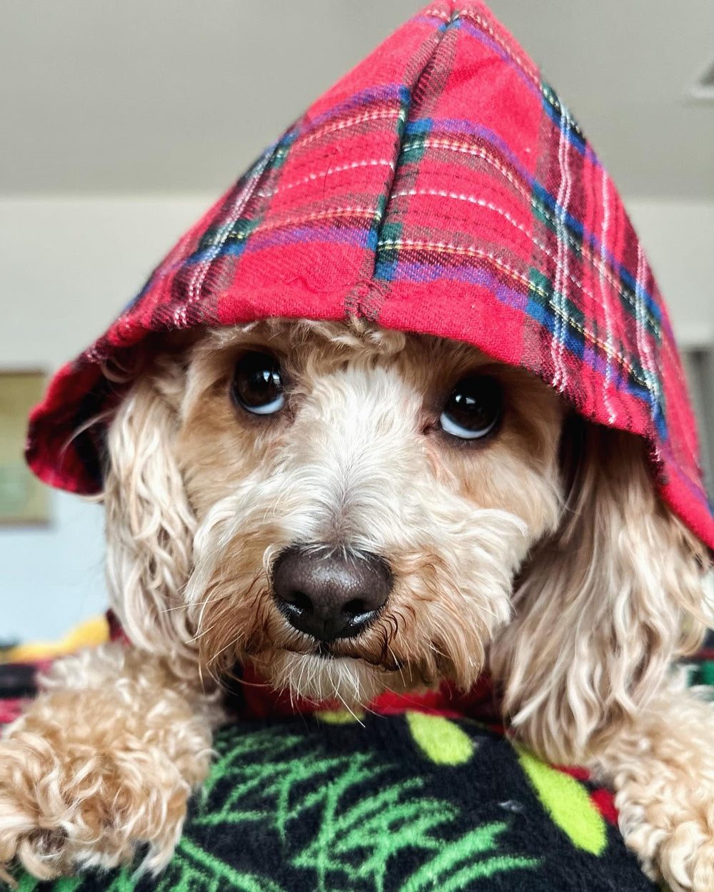 Fitwarm tartan plaid dog hoodie side sleeve emphasizes easy movement and warmth