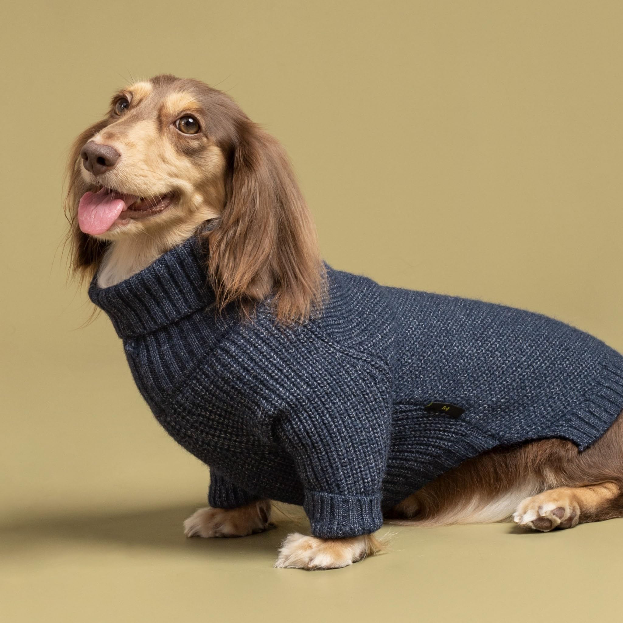 Fitwarm turtleneck knit dog sweater back view shows stylish cold weather wear