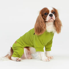 Fitwarm two-pack colorway in yellow-green and dark-green shown indoors