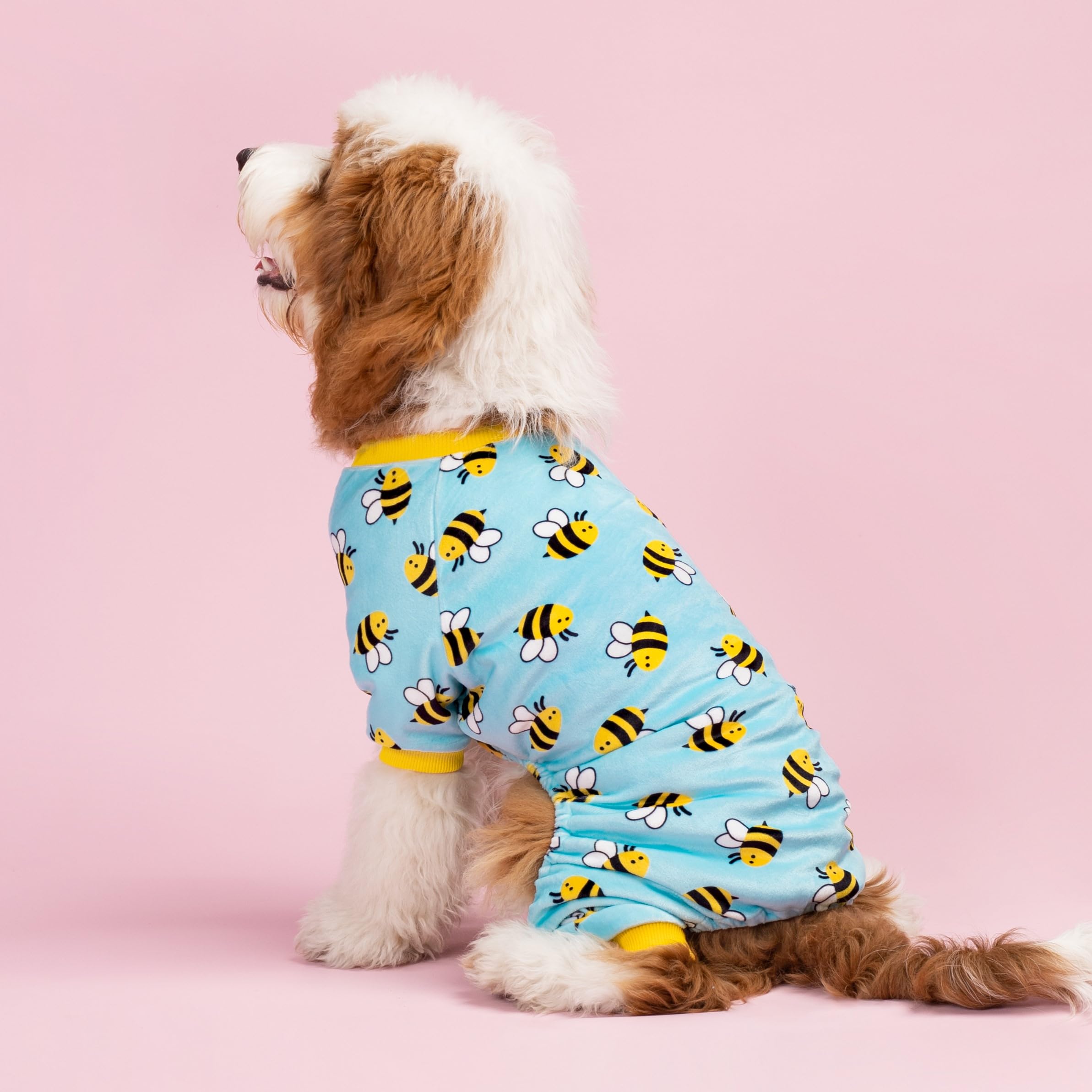 Fitwarm warm winter dog clothes small dog onesie blue for all-season warmth.