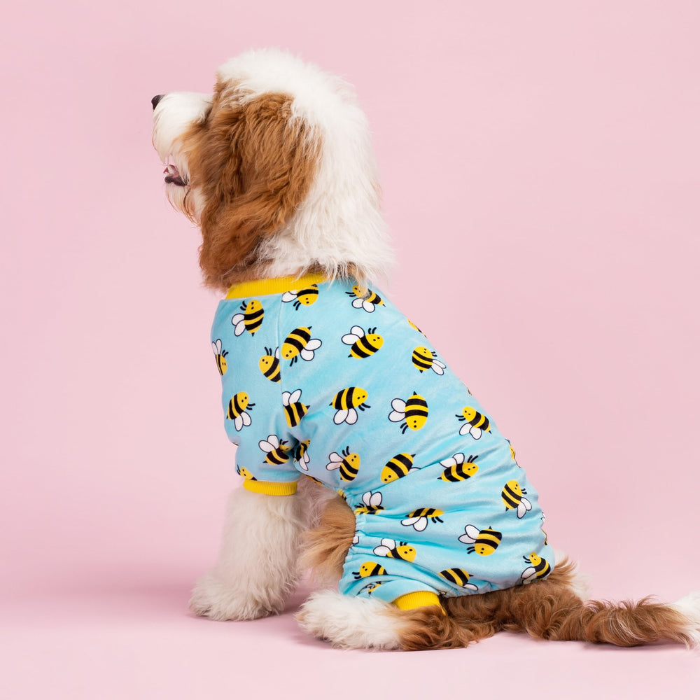 Fitwarm warm winter dog clothes small dog onesie blue for all-season warmth.