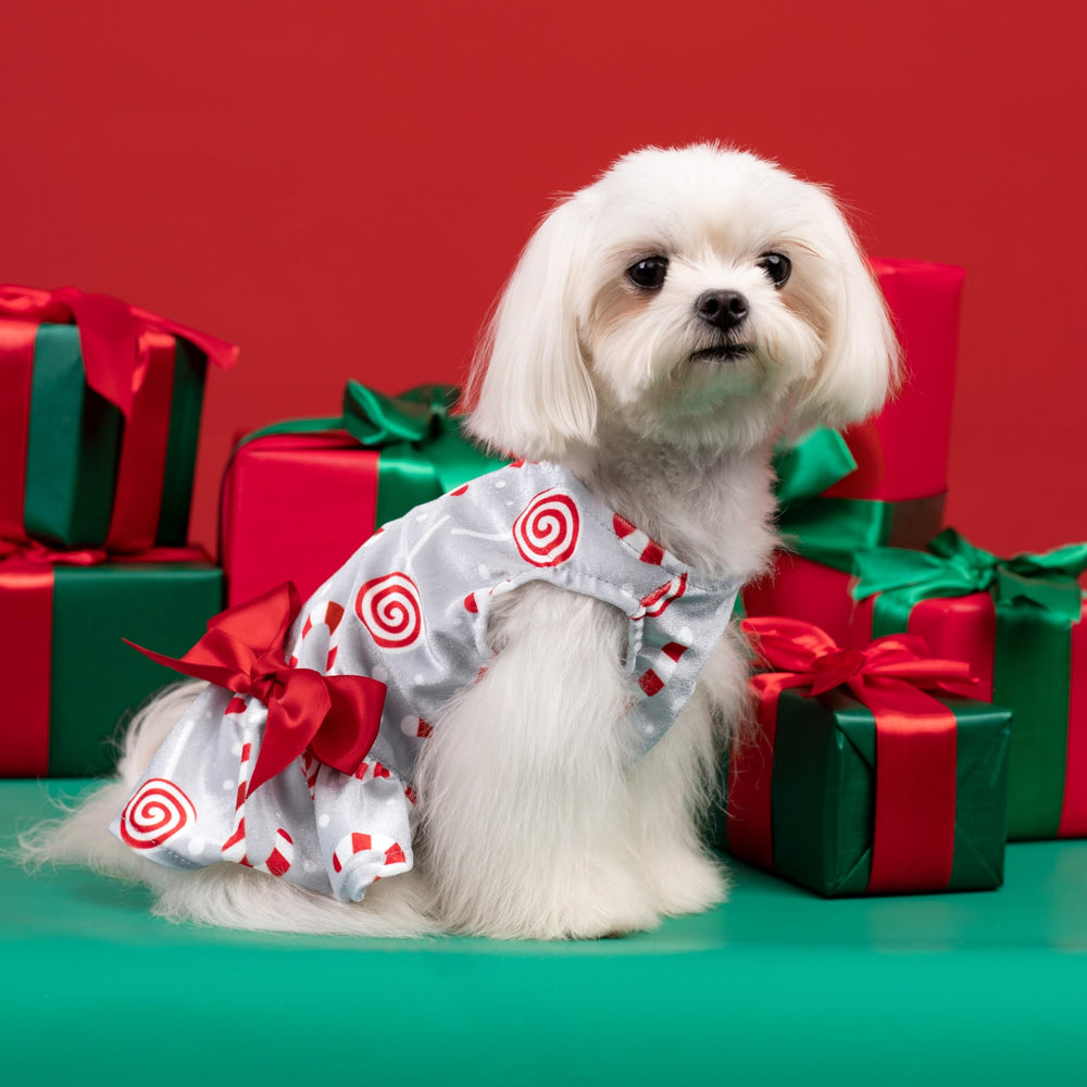 Fitwarm winter dog party dress ideal for family photos and celebrations.