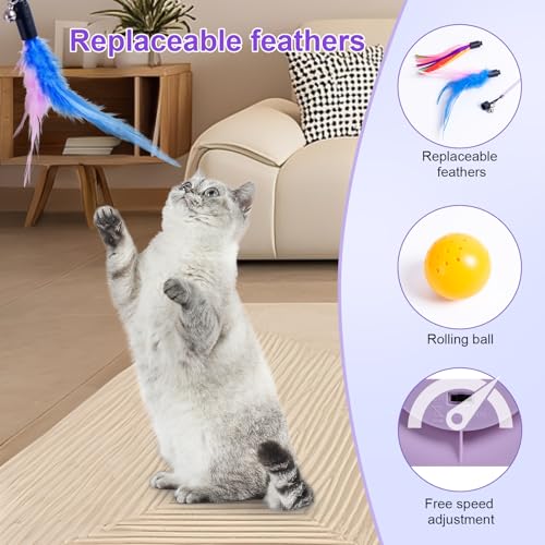 FITWOWFIT fluttering-feather feature invites a dynamic chase for hunting instincts.