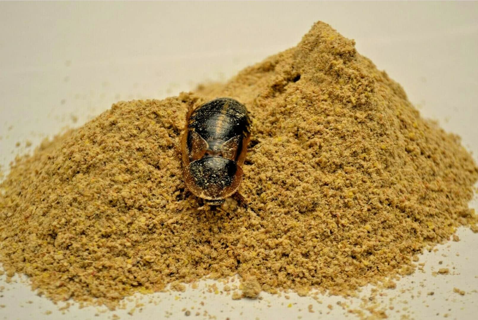 Five-Star Feeders Roach Chow granules and ingredients showcased for balanced nutrition.