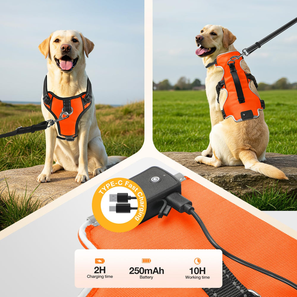 Fiveda light-up dog harness 6-point-fit image demonstrates precise sizing for many breeds.