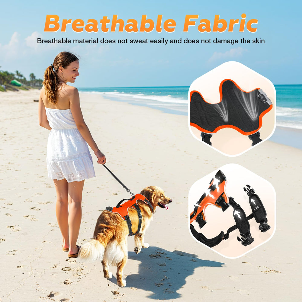 Fiveda light-up dog harness rainproof image shows all-weather performance during wet walks.