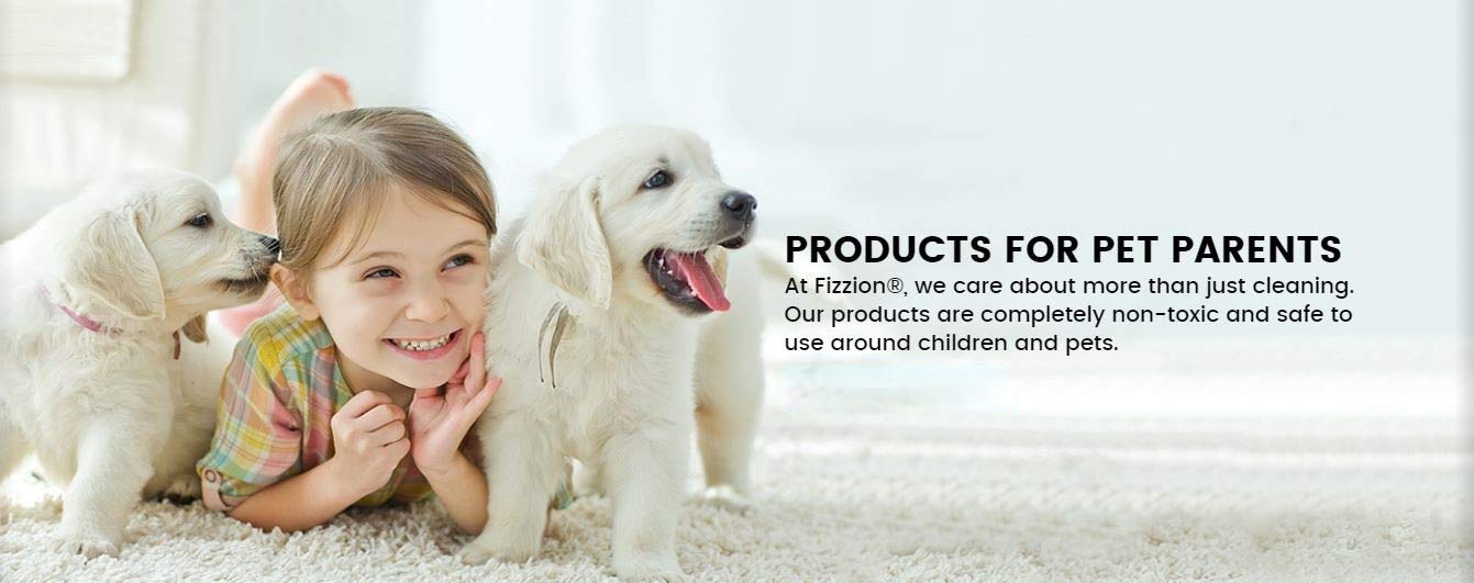 Fizzion Pet Stain Remover applied on carpet to lift odors