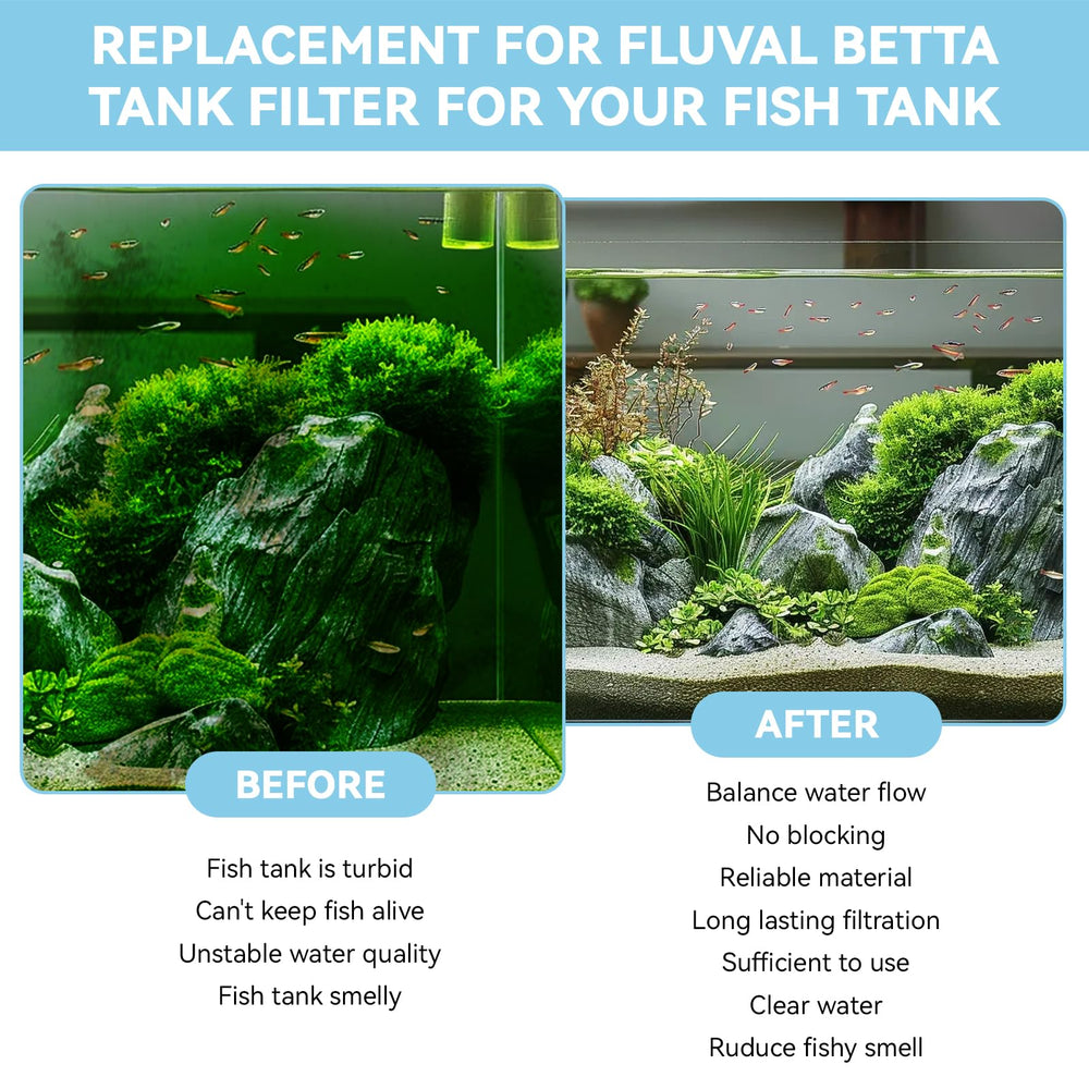 FKBYM ammonia-nitrite removal emphasis for a cleaner Betta habitat
