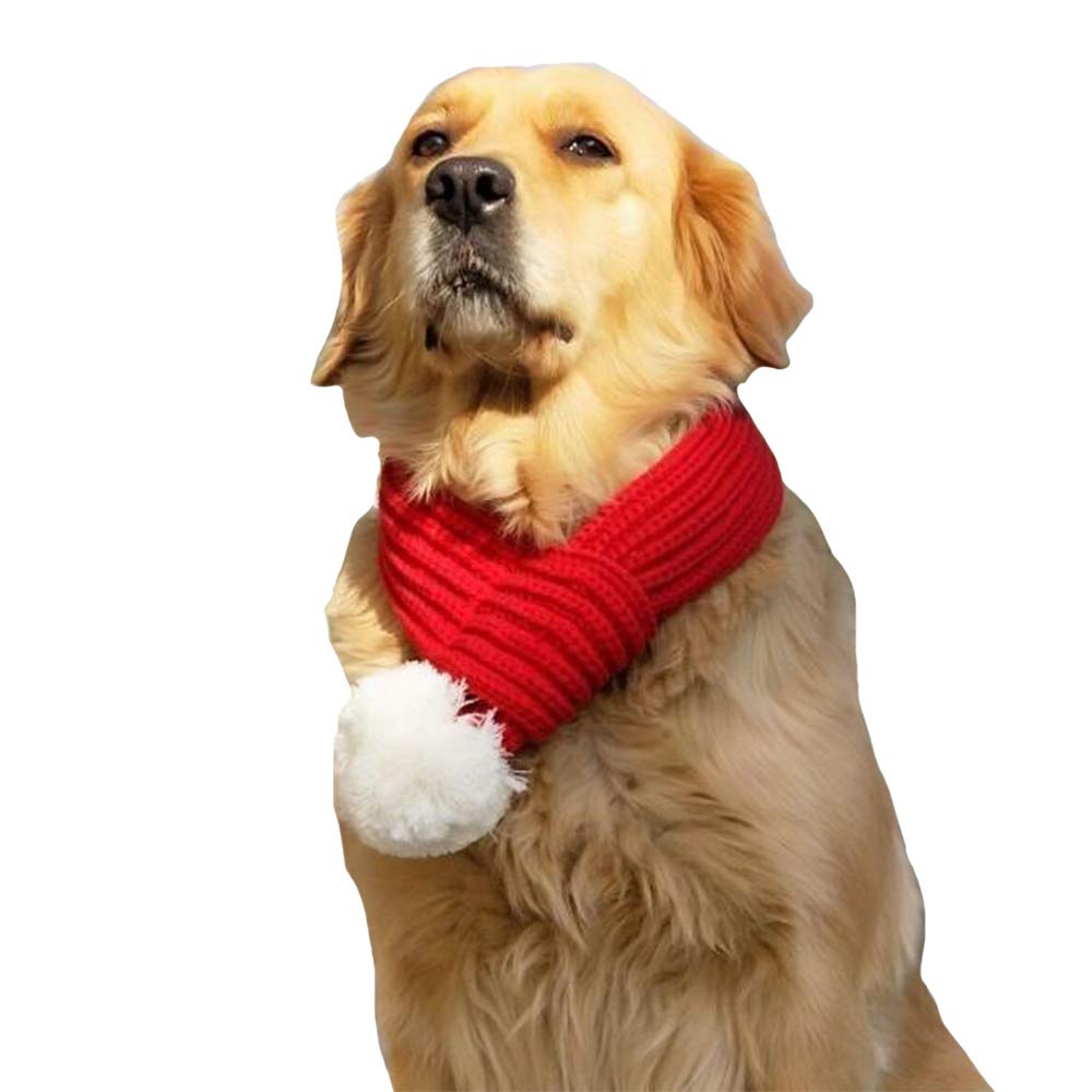 FLAdorepet Christmas Santa Scarf on XL red dog, festive warmth for photos