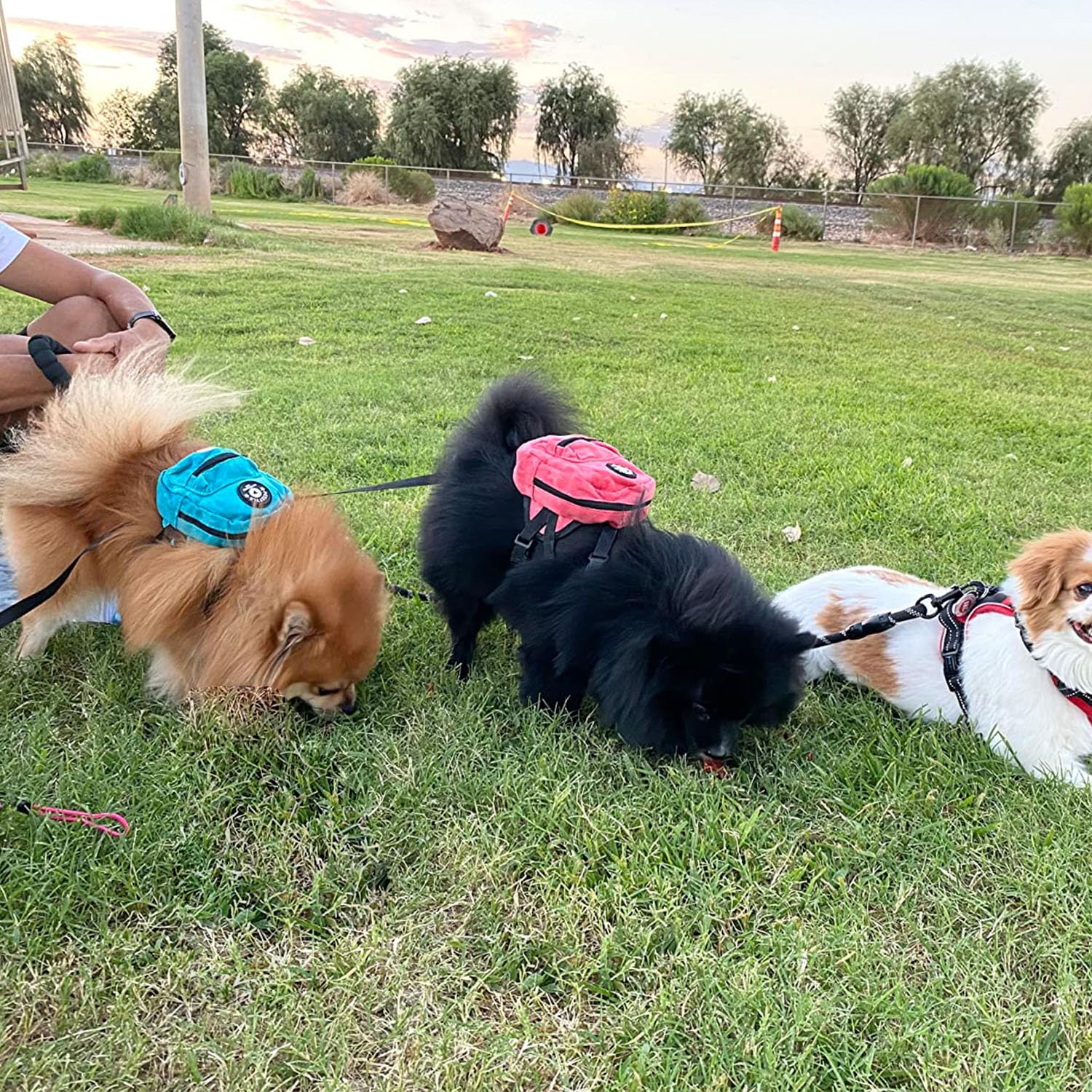 FLAdorepet adjustable chest strap and leash connection for secure fit