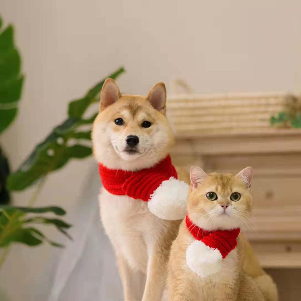 FLAdorepet holiday dog accessory adds seasonal style to outfits