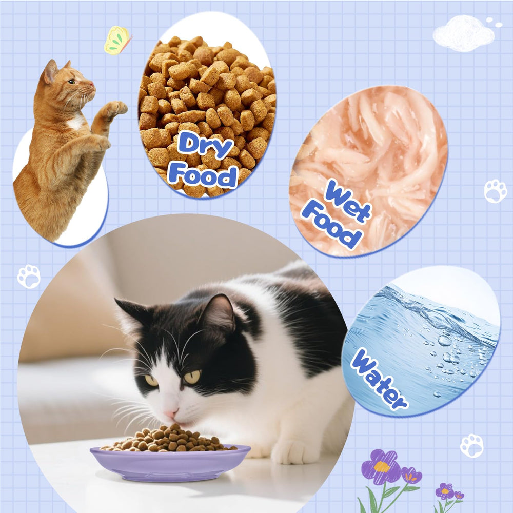 FlaggeZG wide shallow dish ideal for dry and wet cat foods.