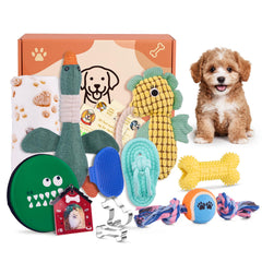 FLAIR GIFTS welcome puppy starter kit packfront provides a warm, organized welcome for a new puppy
