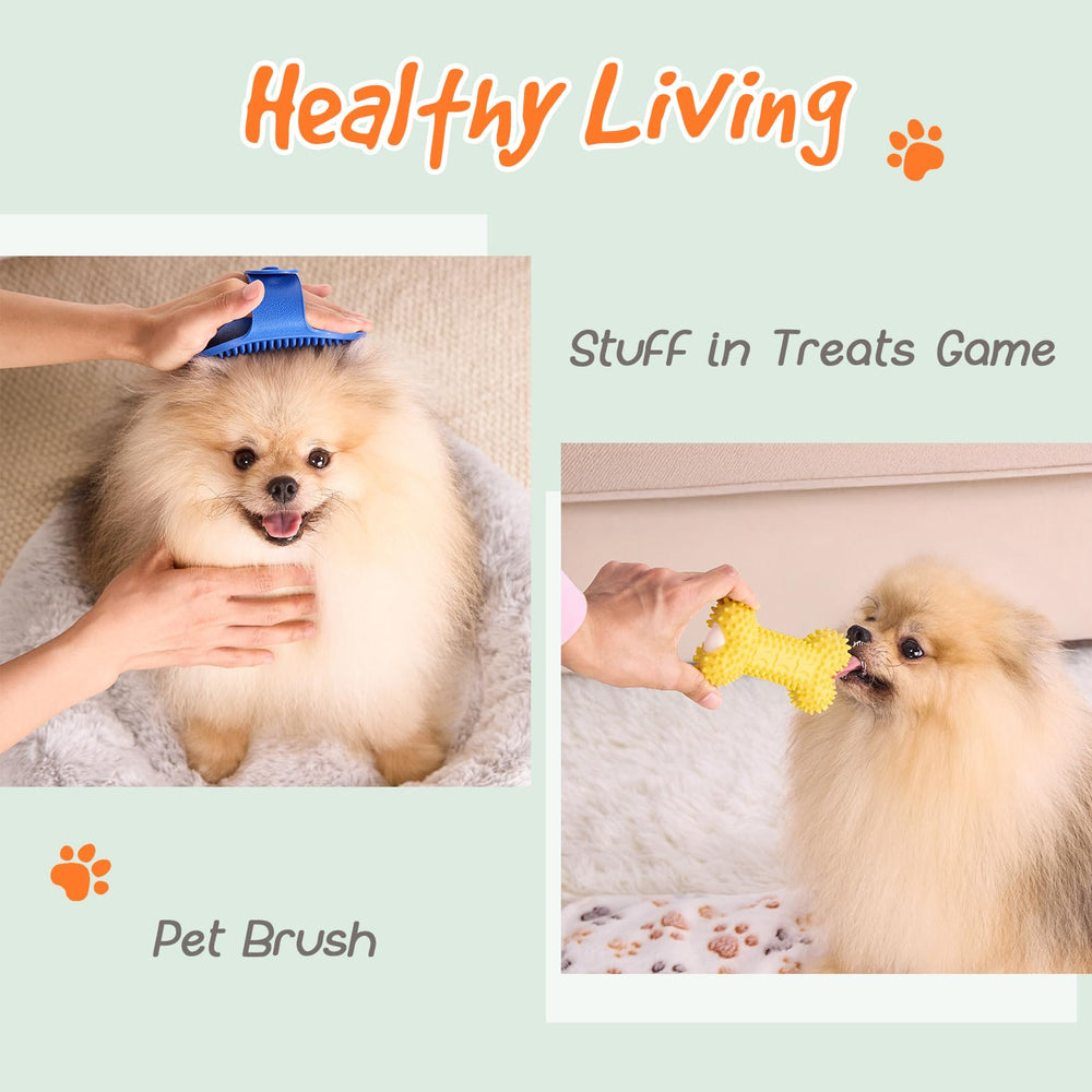 FLAIR GIFTS recipe booklet front shows easy homemade biscuits for puppy growth