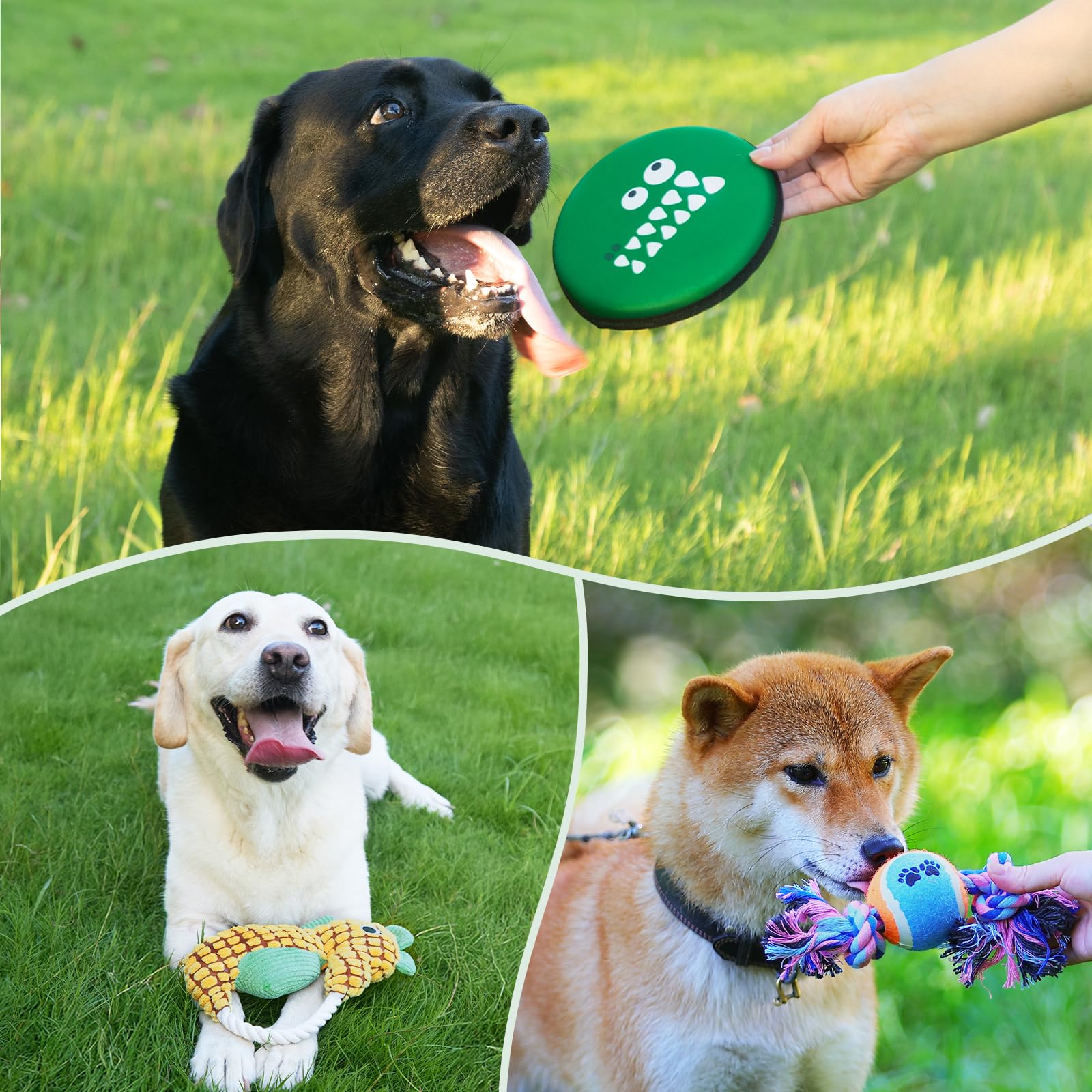 FLAIR GIFTS silicone brush image suggests gentle grooming and bonding moments