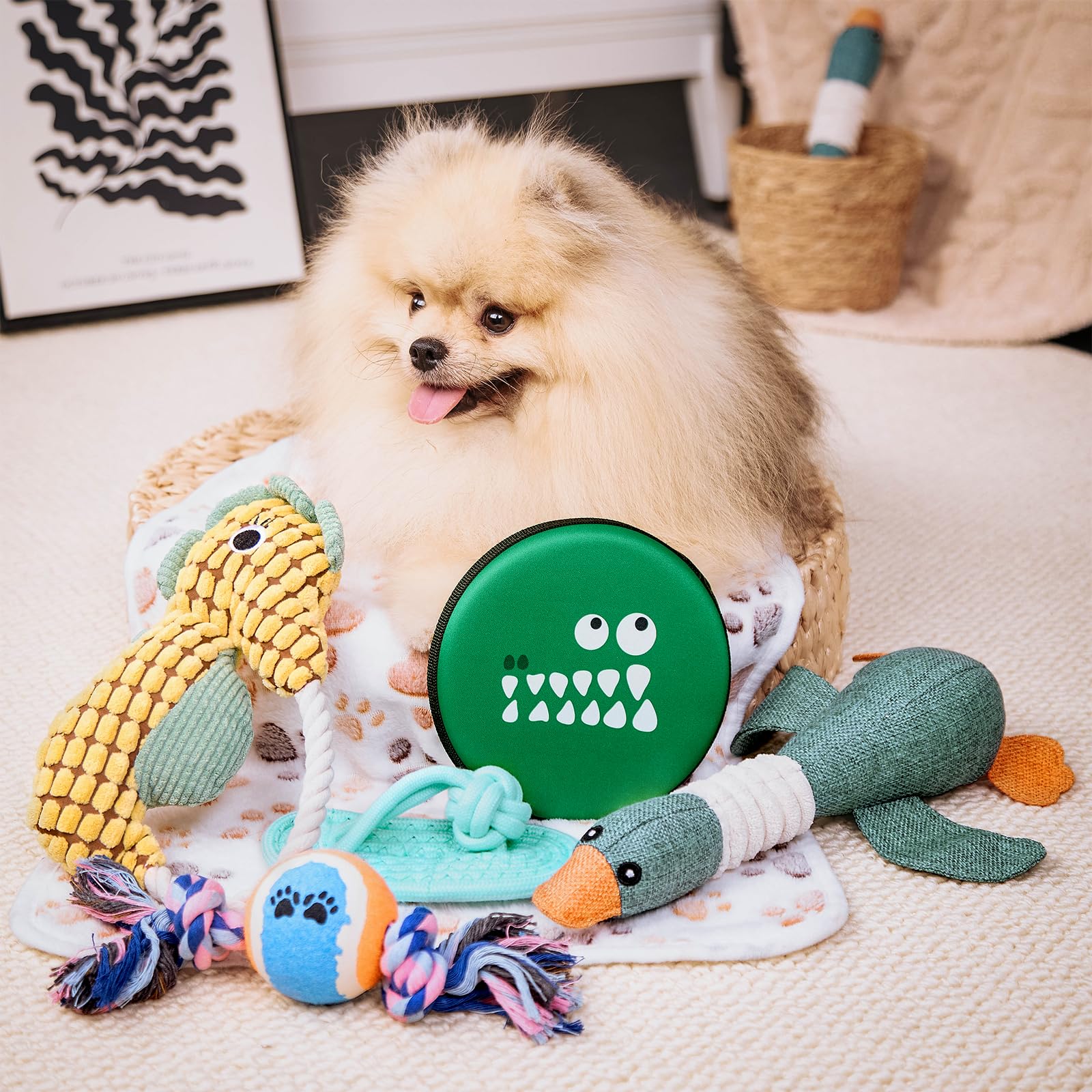 FLAIR GIFTS toys closeup highlights durable, safe playtime for small puppies