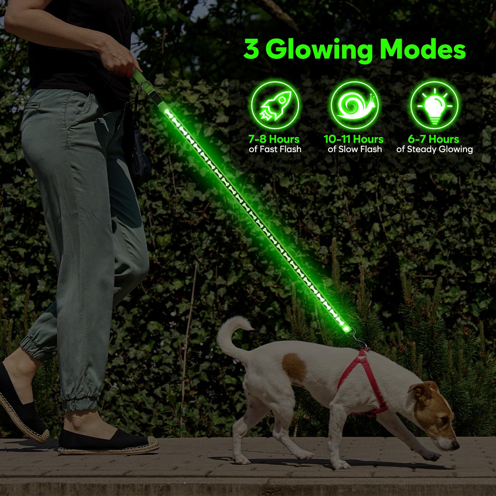 Flashseen 360-visibility dog leash shows all-angle safety