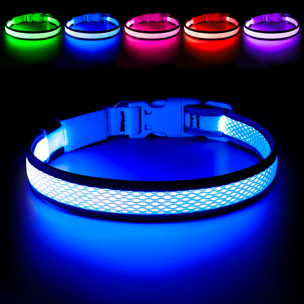 Collar LED Flashseen para perros con visibilidad nocturna destacada.