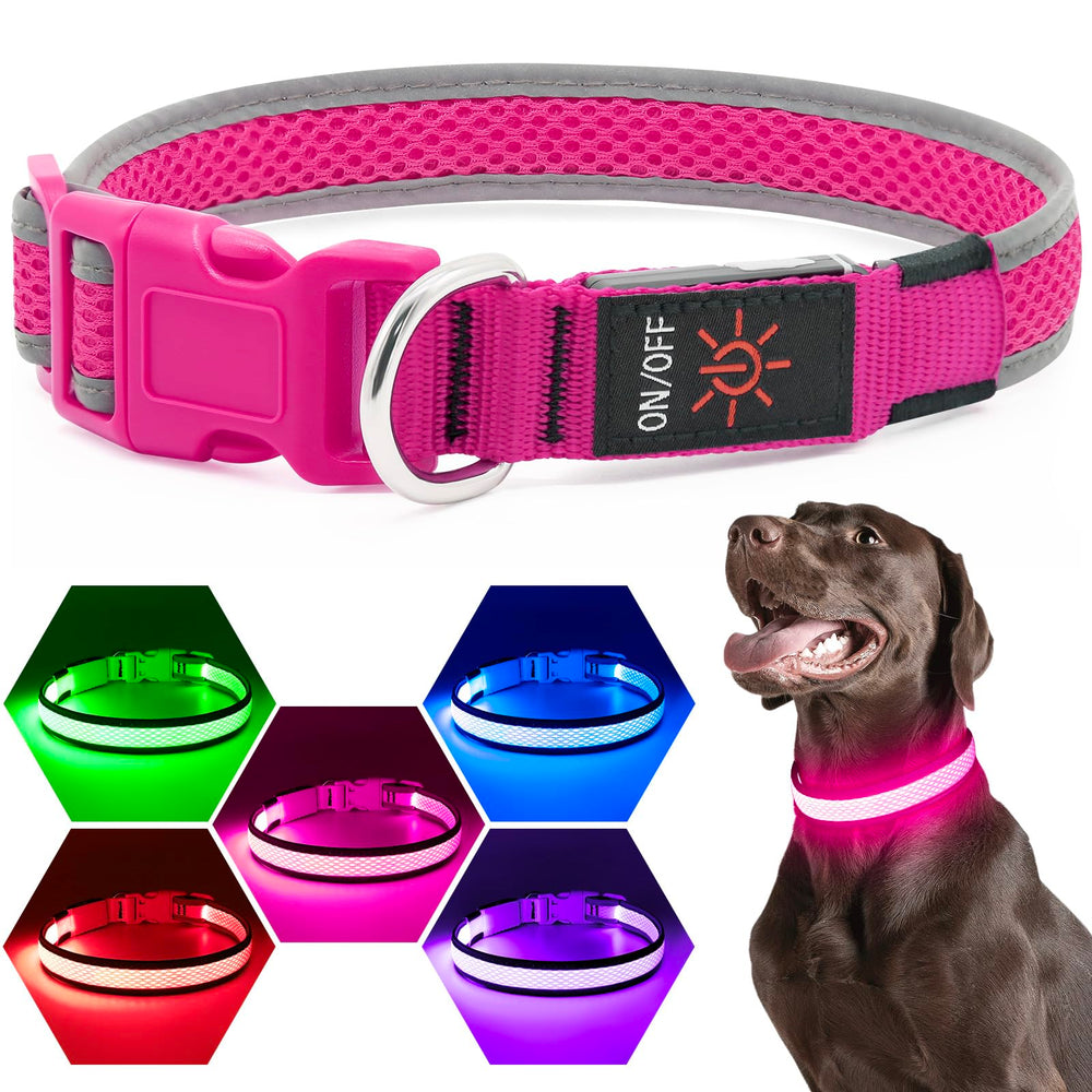 Collar Flashseen en color Candy Pink, visible y con estilo.
