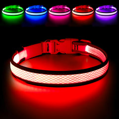 Collar Flashseen con luz nocturna para perros, mayor visibilidad en paseos.