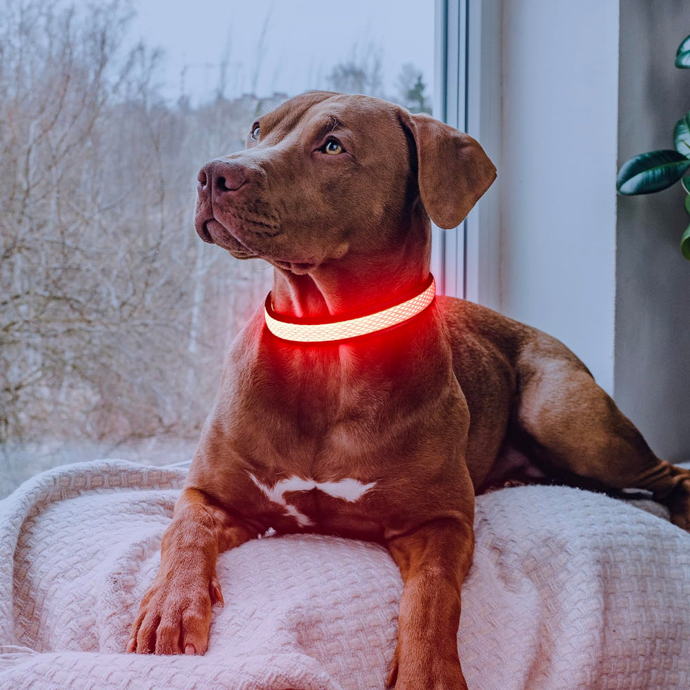 Iluminación estable del collar Flashseen, perfecta para caminatas nocturnas.