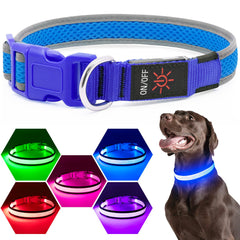 Collar Flashseen USB recargable sin baterías desechables.