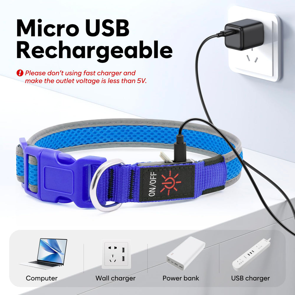Flashseen LED dog collar D-ring attachment showing secure leash option.