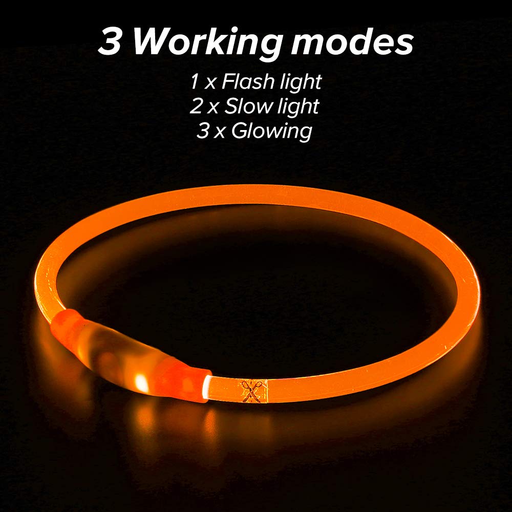 Flashseen LED dog collar glows at night for better visibility during walks.