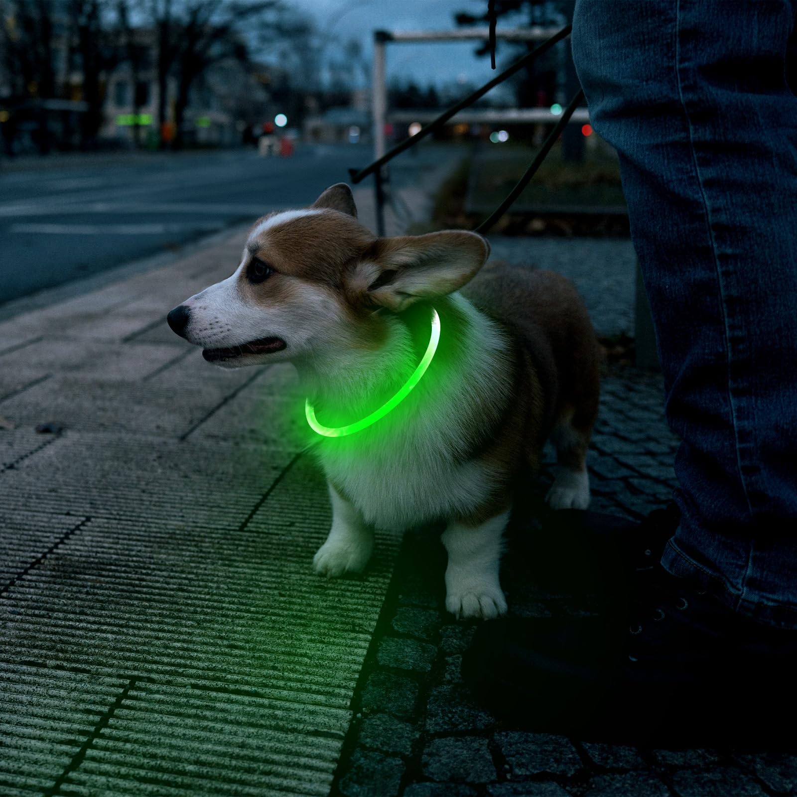 Flashseen LED Dog Collar suits dogs and pets at events.