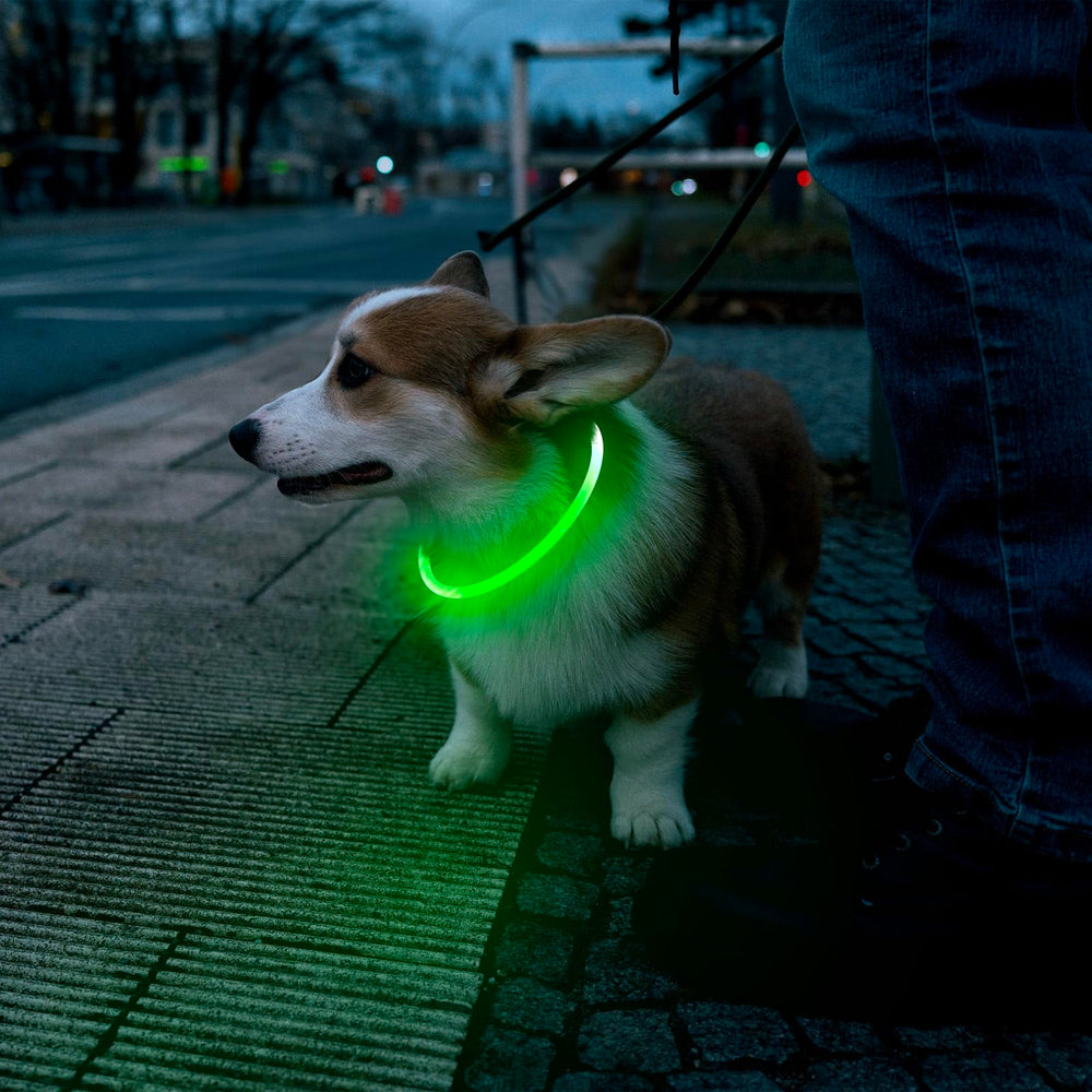 Flashseen LED Dog Collar suits dogs and pets at events.