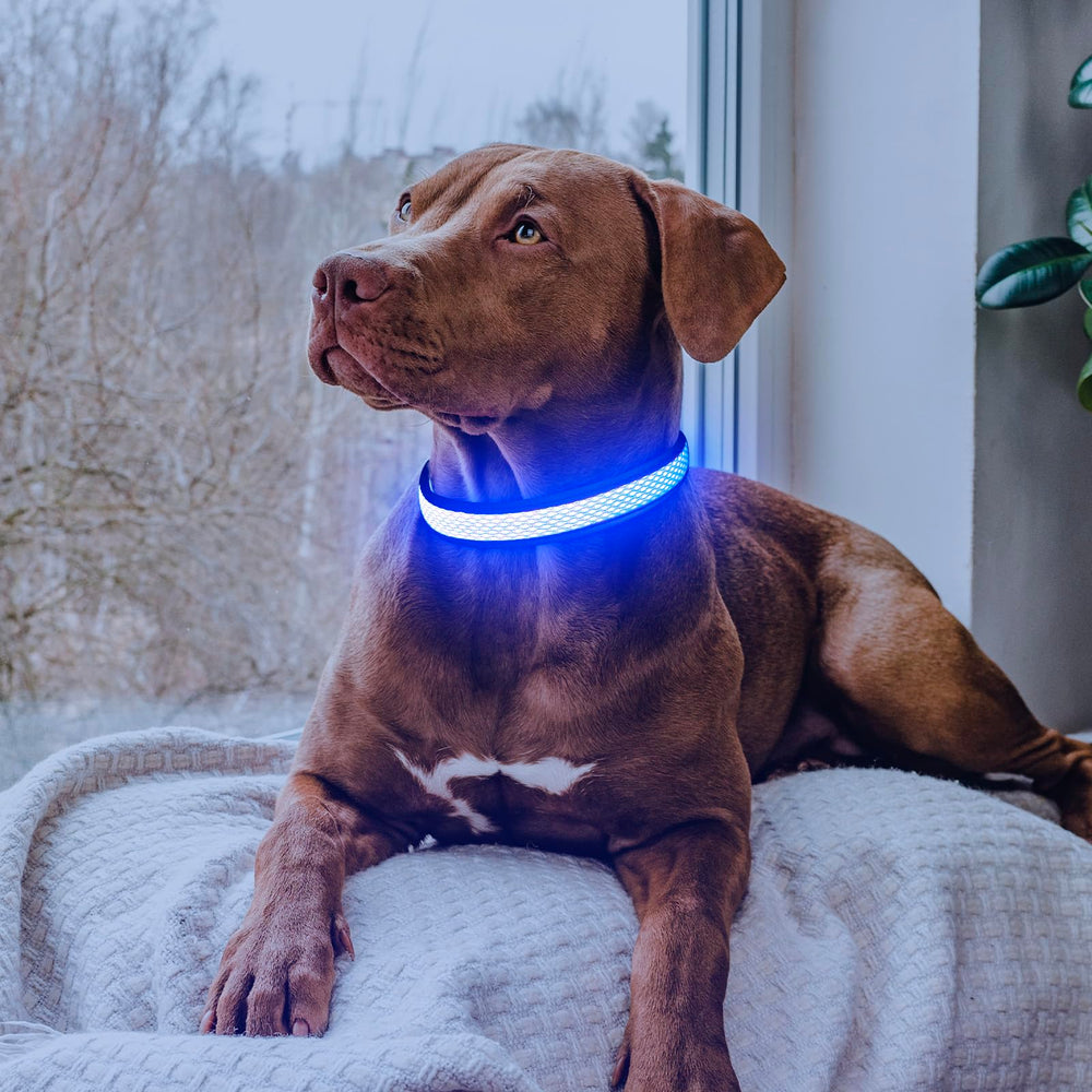 Flashseen LED dog collar side view with adjustable strap for comfortable fit.