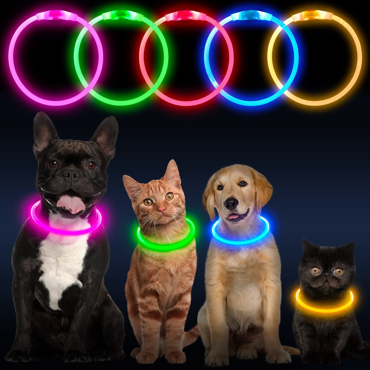 Flashseen water-resistant LED collar withstands outdoor use and splashes.