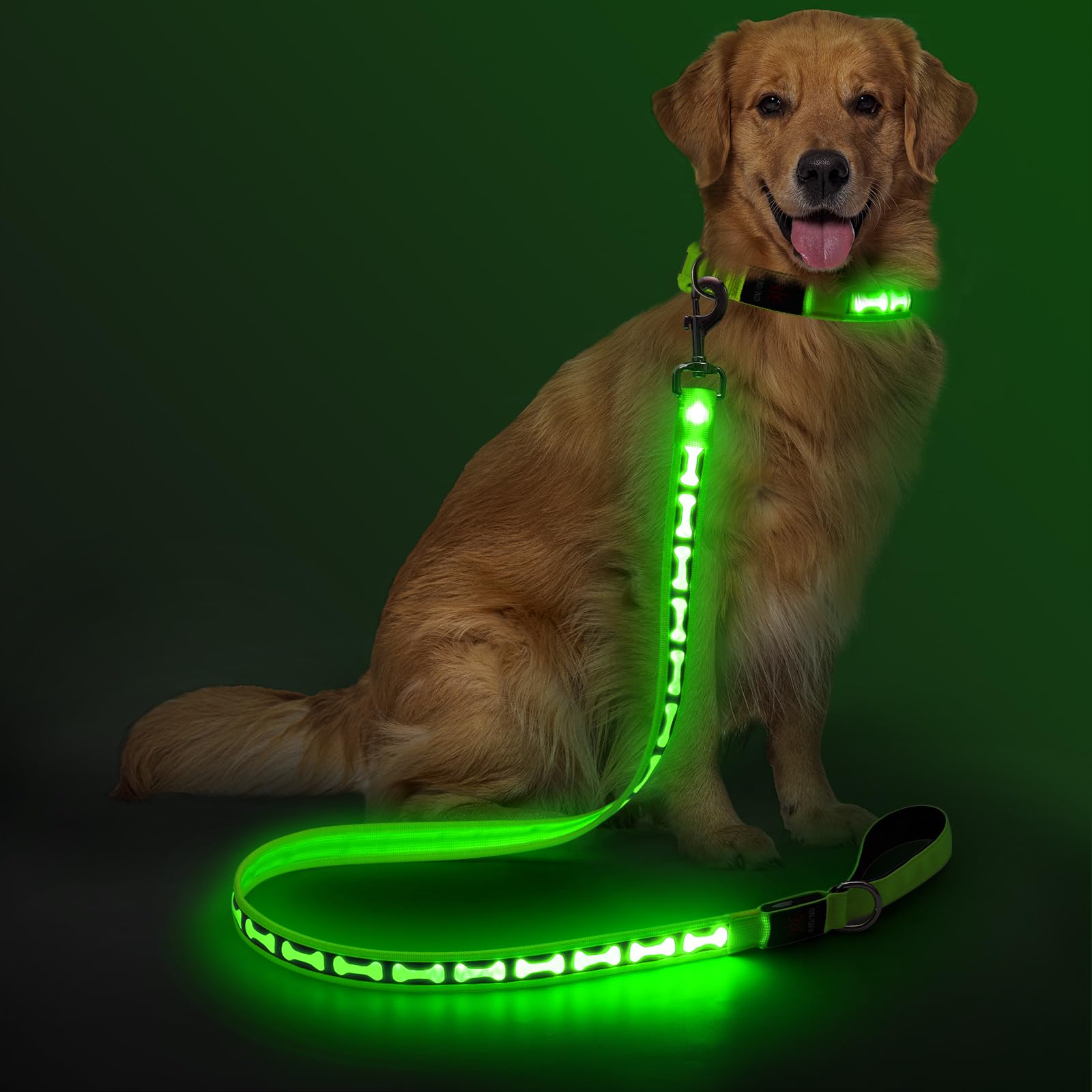 Flashseen light up dog leash front view with bright night visibility