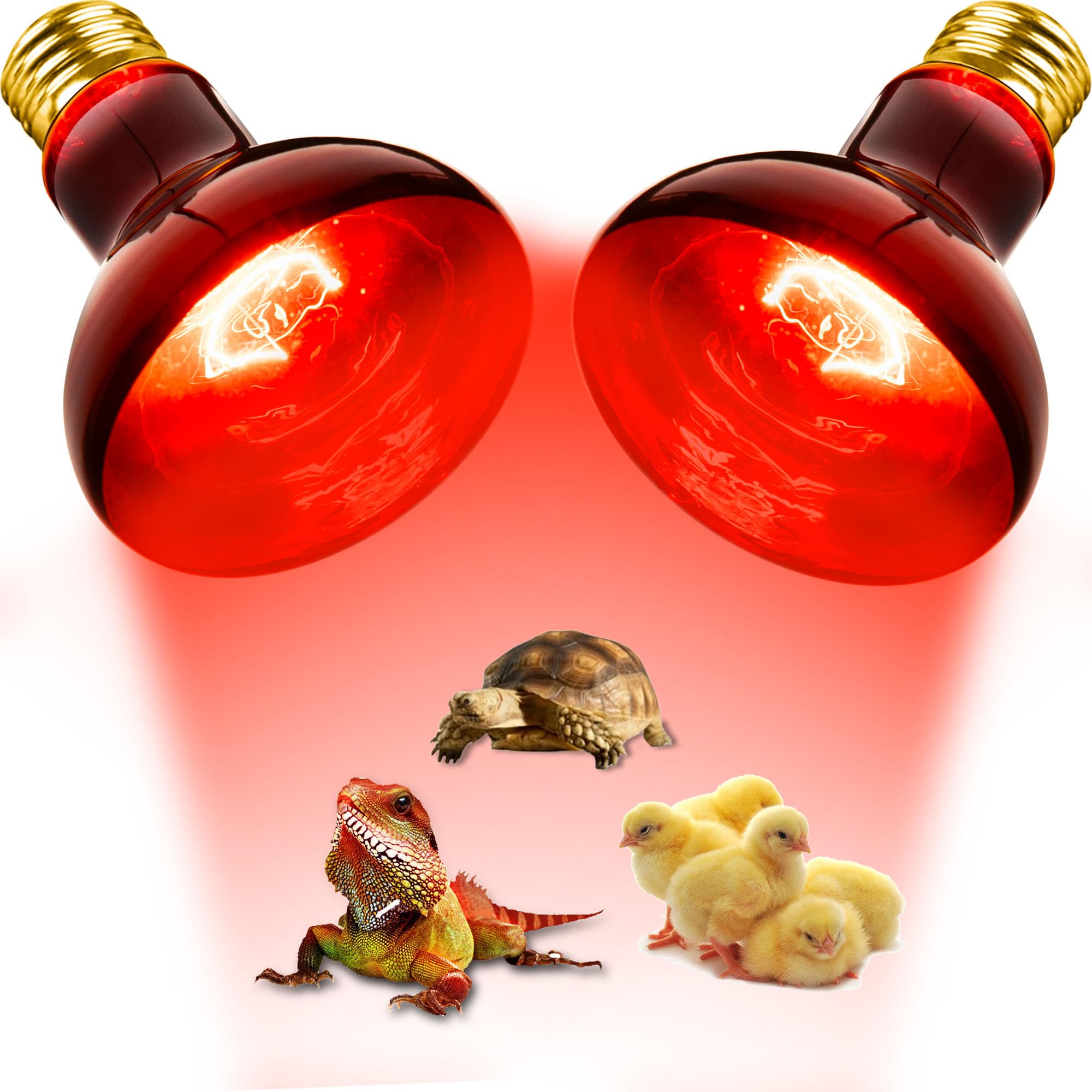 Flaspar 100W reptile red heat lamp bulb setup demonstrates easy installation in standard fixtures
