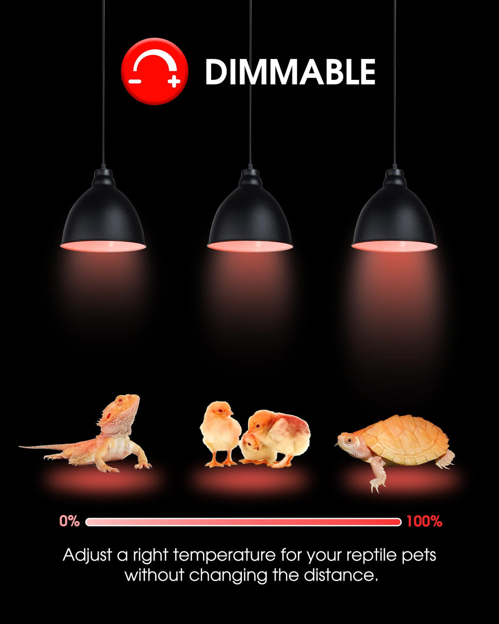 Flaspar E26 base R80 compatibility enables easy swap in common fixtures