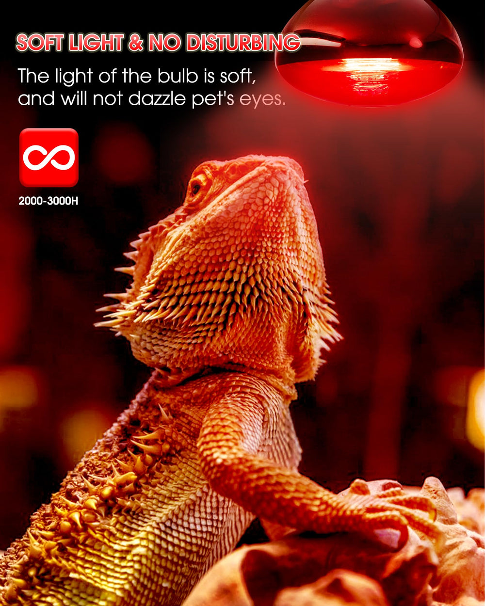 Flaspar reptile red heat bulb basking zone shows targeted warmth for active reptiles