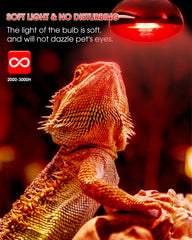 Flaspar reptile red heat bulb basking zone shows targeted warmth for active reptiles