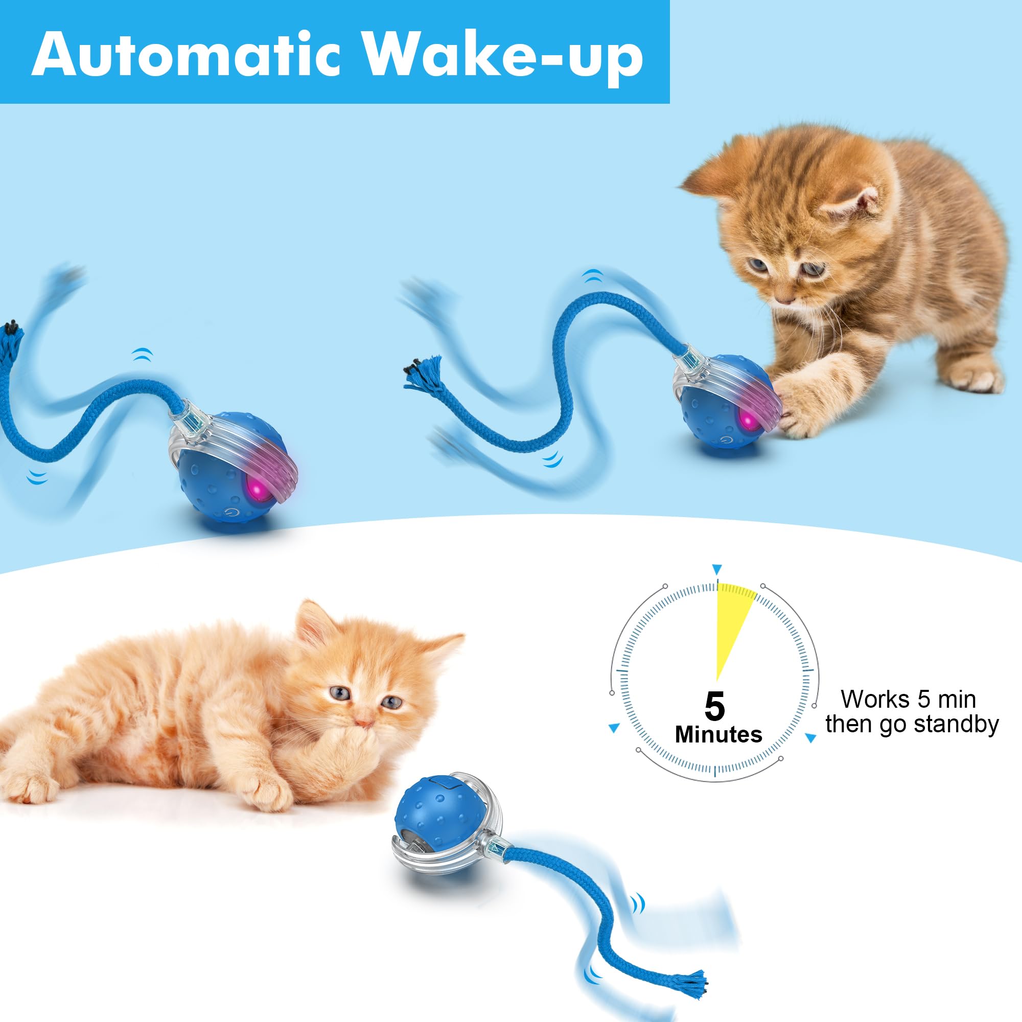FLERDMAU cat ball demonstrates Bird Hide and Seek plus Mouse Catching modes