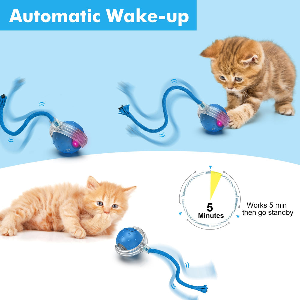 FLERDMAU cat ball demonstrates Bird Hide and Seek plus Mouse Catching modes