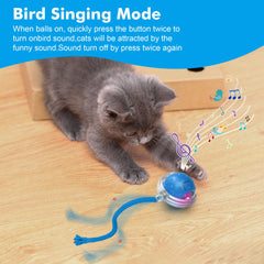 FLERDMAU cat ball USB-C charging keeps it ready for all-day play
