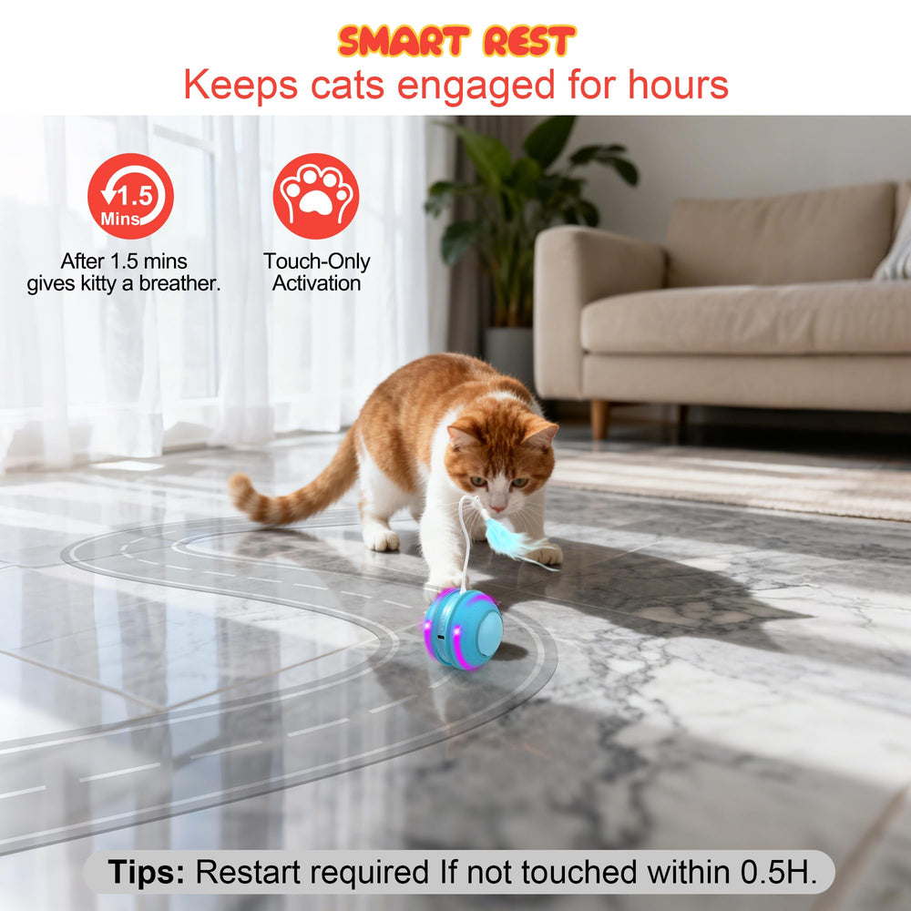 FLERDMAU multi-cat friendly cat toy enables several cats to play together.