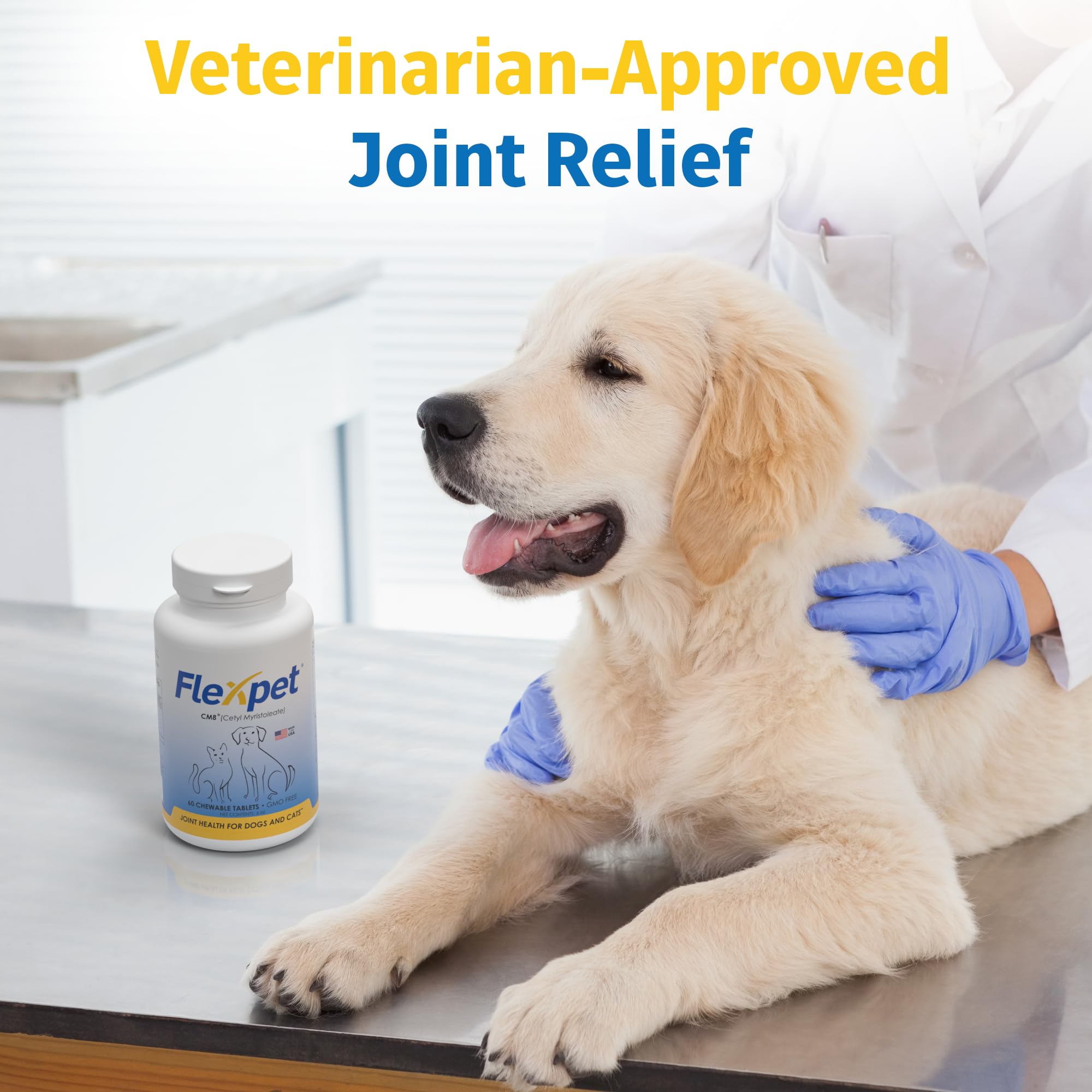 Senior pets enjoying better mobility and comfort with FlexPet hip and joint supplement.