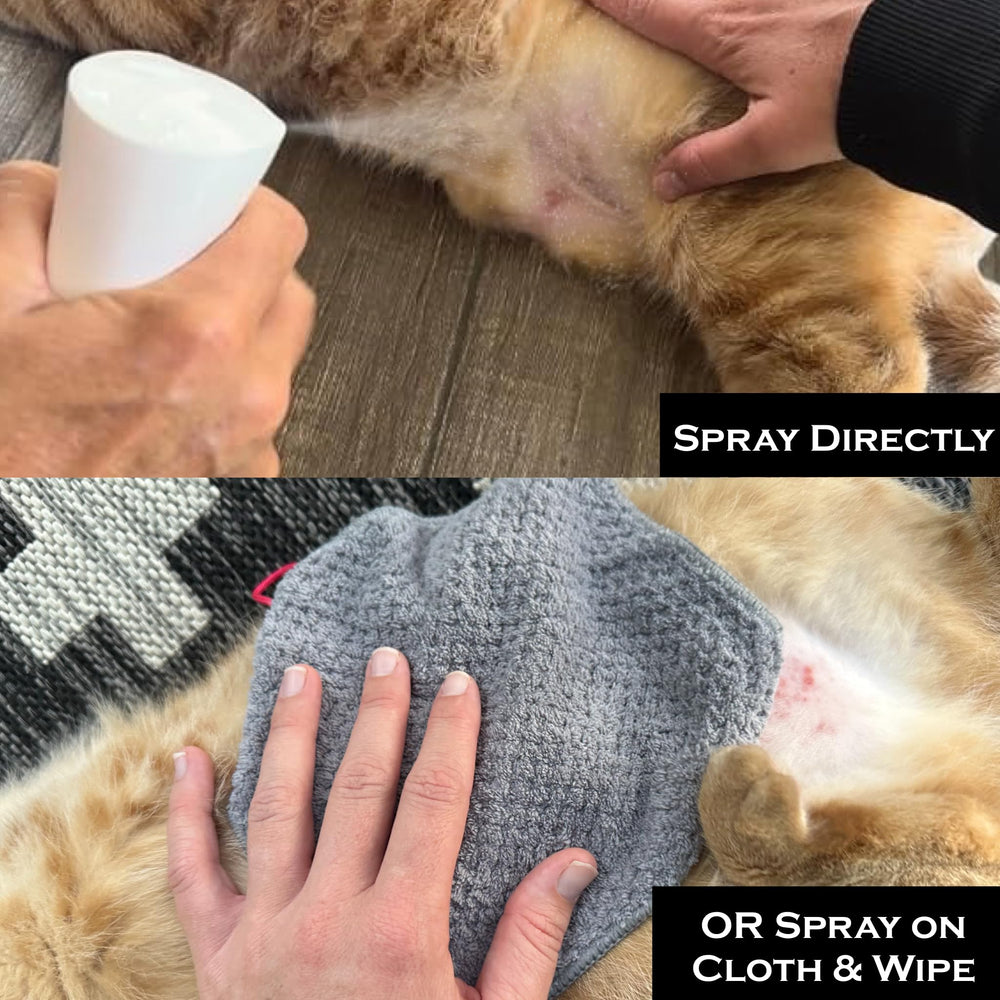FlexTran Feline Ring Care packaging-32oz image highlights bulk spray value.
