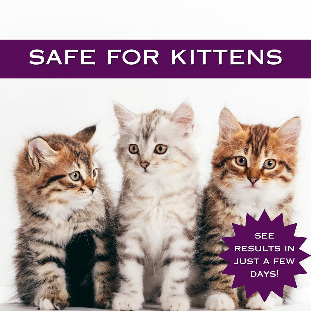 FlexTran Feline Ring Care surface-protection-graphic image suggests reducing exposure to surface contaminants.