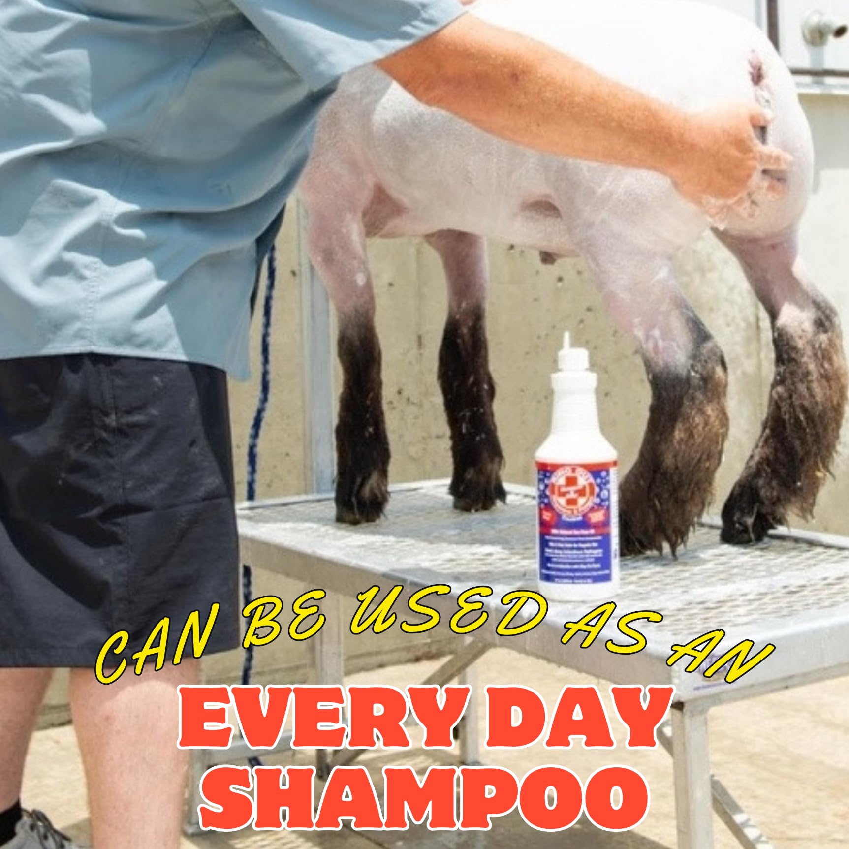 FlexTran Ring Out Shampoo low-suds lather showing balanced pH for skin-friendly wash.