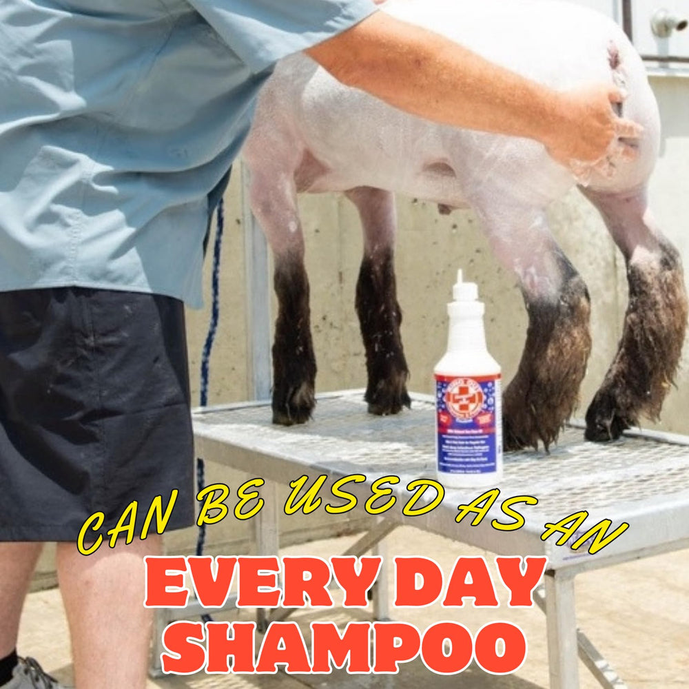 FlexTran Ring Out Shampoo low-suds lather showing balanced pH for skin-friendly wash.