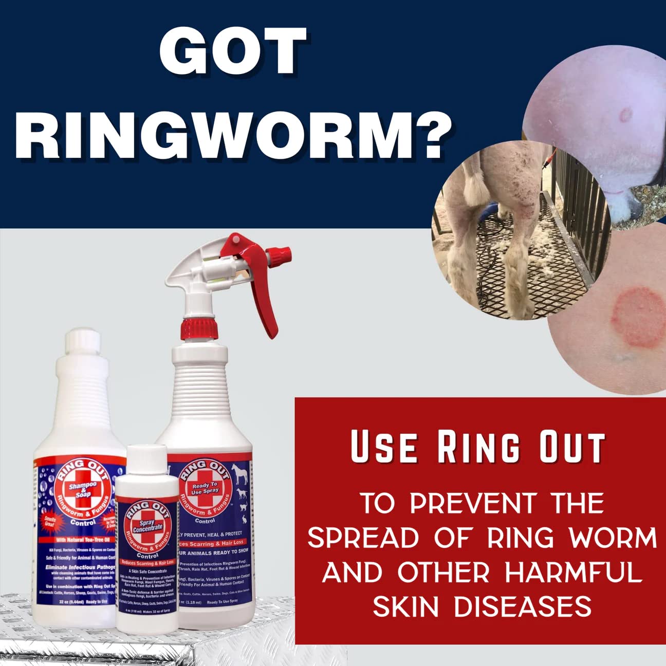 FlexTran RingOut Shampoo bottle ready for everyday use across dogs, cats, and more.