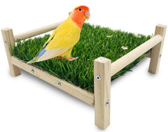 FlidRunest bird foraging bed with wood stand promotes playful foraging.